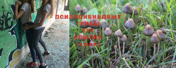 меф Алзамай