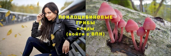 дживик Алексин